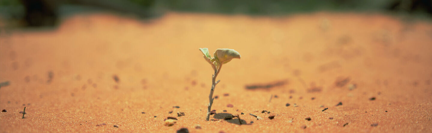 blog header